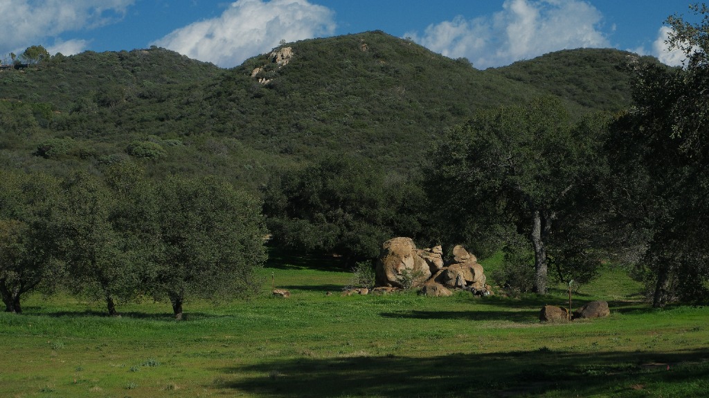 San Diego Meditation Center Hero