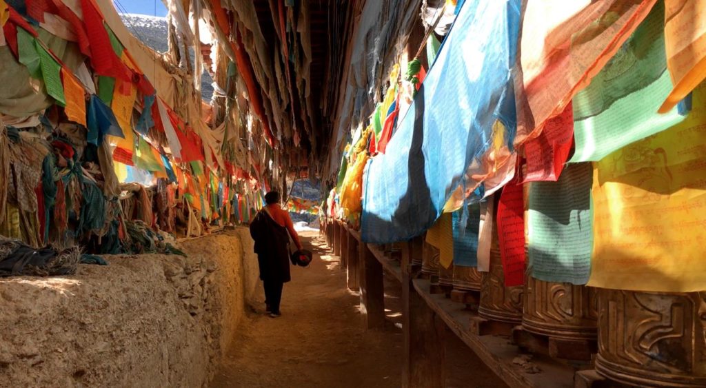 The Inherent Limits of Brain Cognition