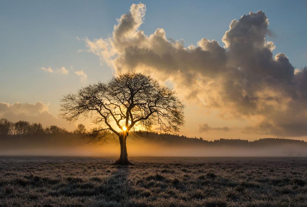 Tuesday: Treasury of Valid Cognition and Reasoning