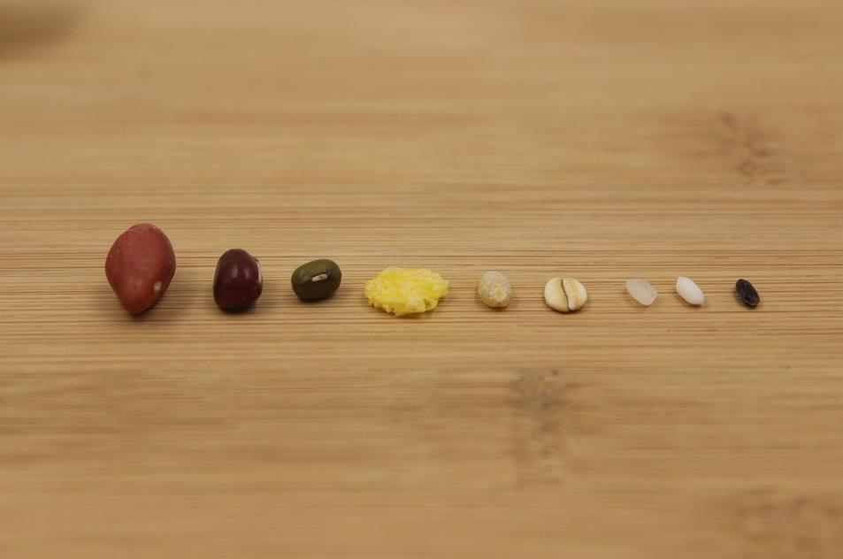 Does cognition itself have essence?