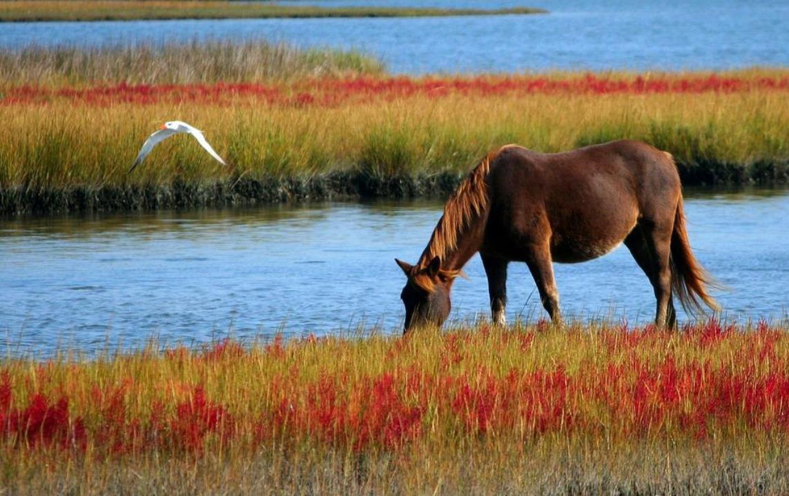 What is Thinking-based cognition？