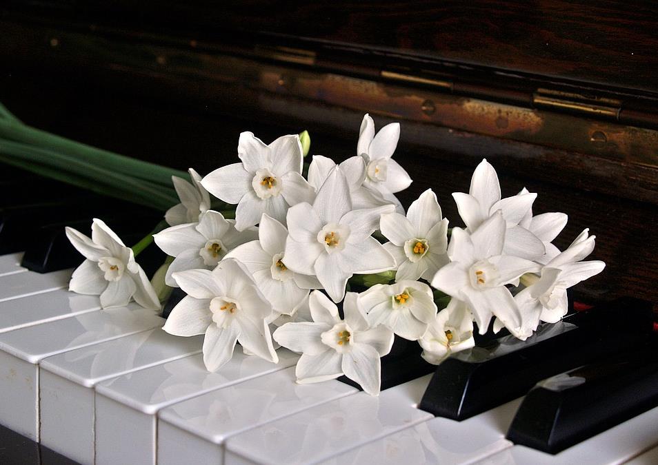 How Is Inner Quality Developed Through Practice?