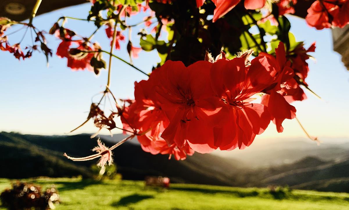 The path of spiritual practice is often accompanied by hardships