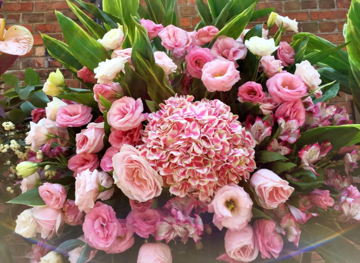 What is the difference between meditative concentration and insight meditation？