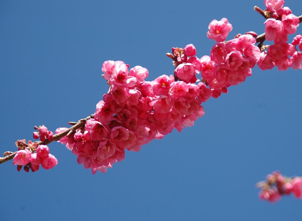 How can we simply explain the existence of samsara through Madhyamaka?