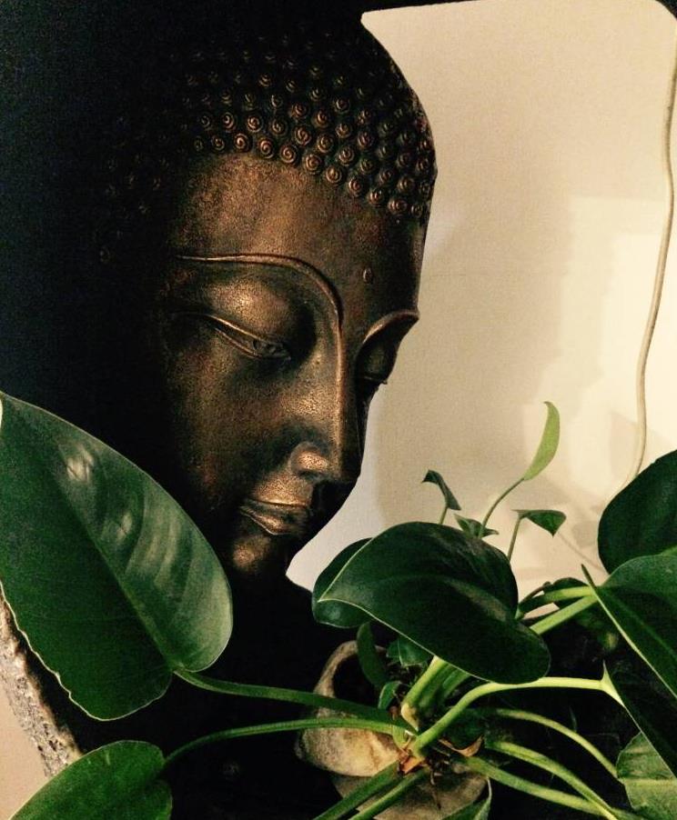 Buddhist Theory and Practice