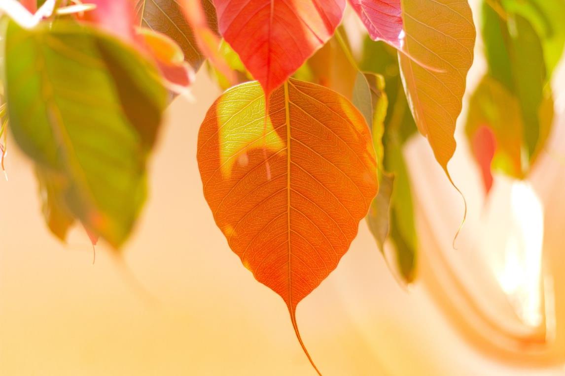 Why do the ways ordinary people seek happiness inevitably lead to suffering?