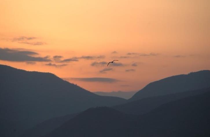 The Importance of Teachers in Buddhist Practice