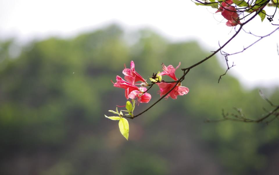 The Act of Giving: To Give Is to Gain