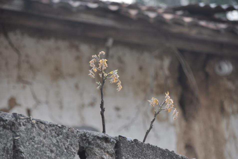 Over A Decade of Practice, Yet Still Unhappy Upon Seeing Others: What Went Wrong